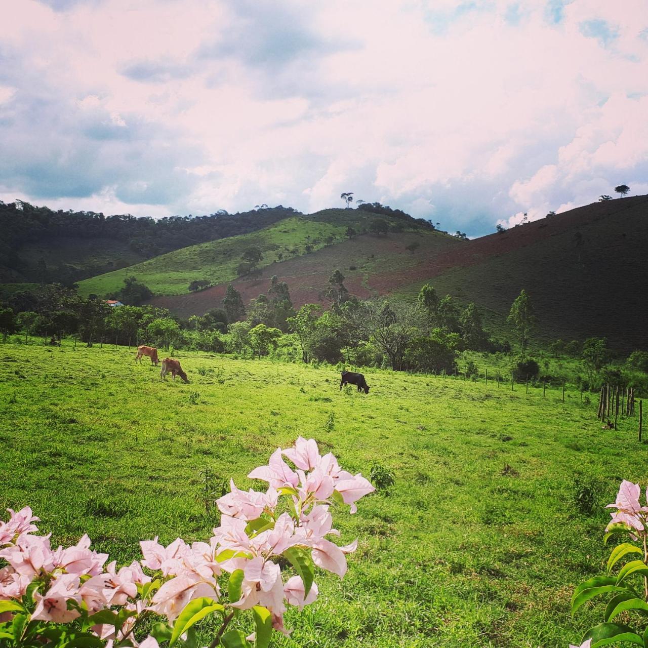 Pousada Chales Dos Montes Santana dos Montes Exteriér fotografie